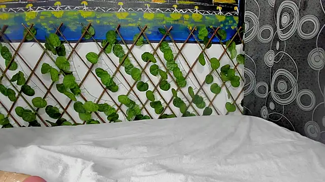 ANEVANS2 online show from 13, 1, 2025