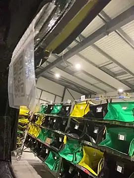 benben190 online show from 12, 3, 2025