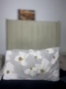 Snapshot of BhadBhad_Kitty chatting on 8, 10, 2025 BhadBhad Kitty online show from 8, 10, 2025