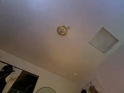 Snapshot of ganosex chatting on 24, 12, 2024 ganosex online show from 24, 12, 2024