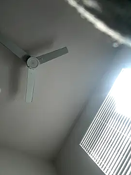 PointingPetrol online show from 5, 1, 2026