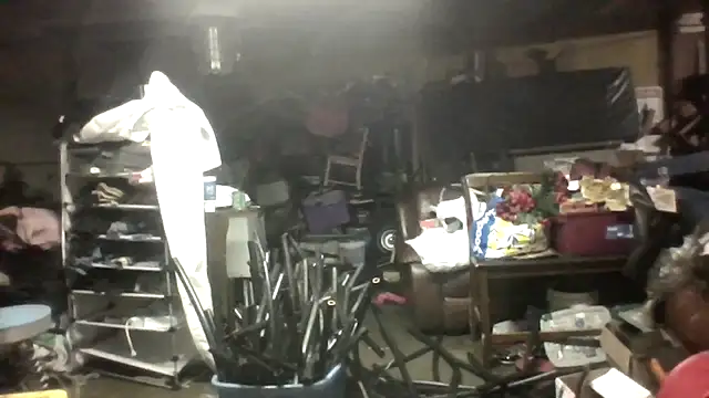 lilbishmiss online show from 11, 3, 2026