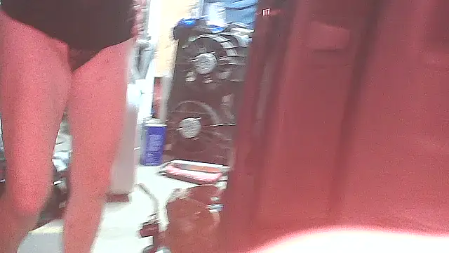 chill wolf389 online show from 2, 10, 2025