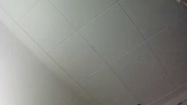 Snapshot of gorkamacbew chatting on 9, 9, 2025 gorkamacbew online show from 9, 9, 2025