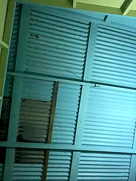 islandvybee55 online show from 16, 12, 2025