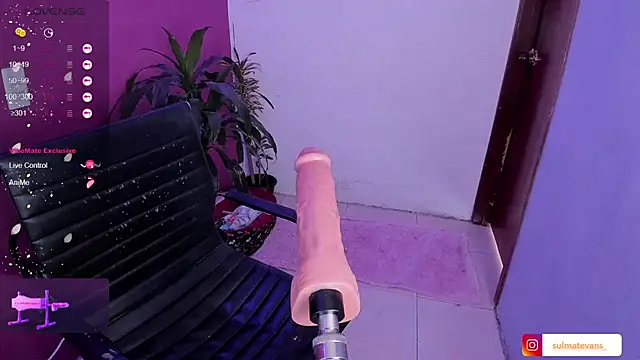  sulmatevans  online show from 19, 1, 2025