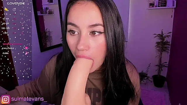  sulmatevans  online show from 21, 2, 2025