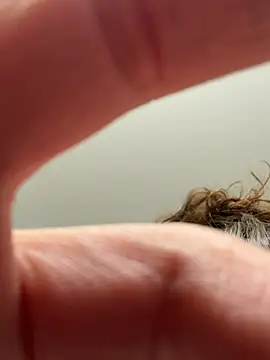 laninasub online show from 23, 4, 2026