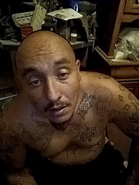 wilsons12 online show from 8, 11, 2025