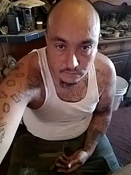 wilsons12 online show from 10, 11, 2025