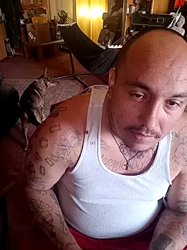 wilsons12 online show from 13, 4, 2026