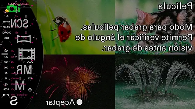 milly kenner online show from 11, 12, 2024