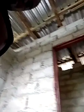 Mzansiboy4 online show from 13, 3, 2026