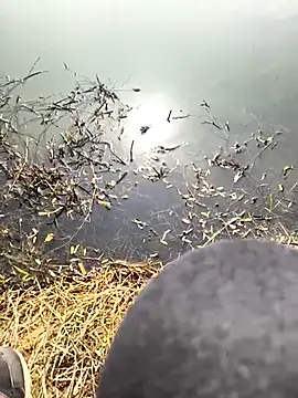 huzi518 online show from 8, 3, 2025