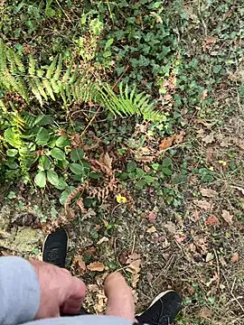 Snapshot of mj23641 chatting on 27, 9, 2025 mj23641 online show from 27, 9, 2025