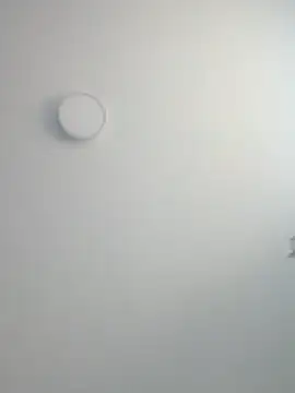 Javierchico online show from 4, 6, 2026