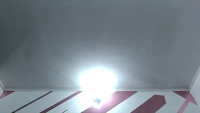 Kitten Hot  online show from 4, 12, 2025