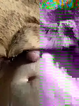 Snapshot of sansato133 chatting on 19, 1, 2025 sansato133 online show from 19, 1, 2025