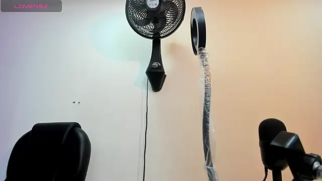 alice  tylor online show from 12, 3, 2025