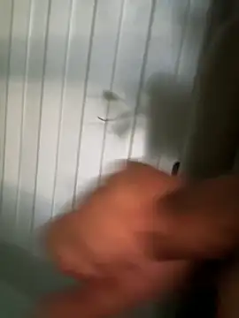 derFickerali online show from 3, 12, 2024