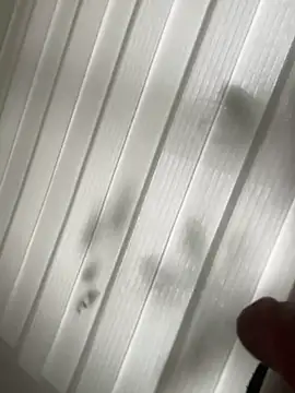 derFickerali online show from 23, 1, 2025