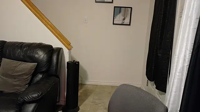 Thekodyy online show from 18, 11, 2025