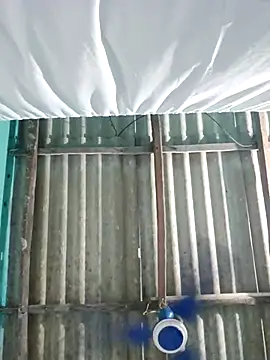 hotbaby 5 online show from 7, 10, 2025