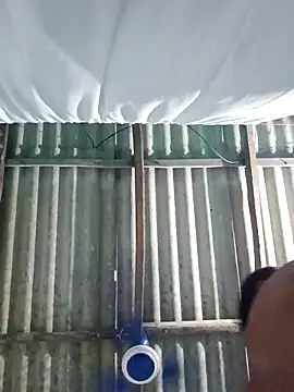 hotbaby 5 online show from 2, 11, 2025