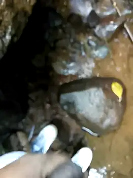 Snapshot of dpkpaksudda chatting on 24, 9, 2025 dpkpaksudda online show from 24, 9, 2025