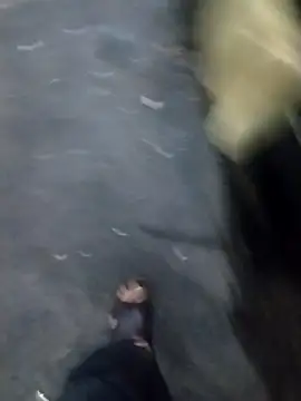 Snapshot of juan56900 chatting on 16, 12, 2025 juan56900 online show from 16, 12, 2025