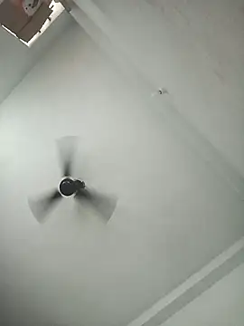 Snapshot of pintuS40 chatting on 6, 11, 2025 pintuS40 online show from 6, 11, 2025