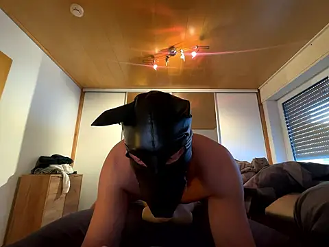 Snapshot of PlayDog123 chatting on 11, 1, 2026 PlayDog123 online show from 11, 1, 2026