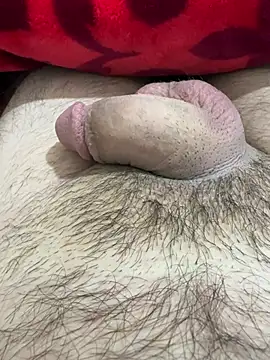 Snapshot of TheArabicGuyx chatting on 25, 2, 2026 TheArabicGuyx online show from 25, 2, 2026