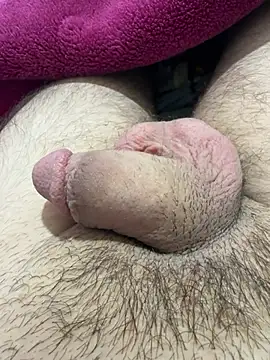 Snapshot of TheArabicGuyx chatting on 8, 4, 2026 TheArabicGuyx online show from 8, 4, 2026