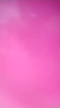 wildsakhi online show from 17, 2, 2025