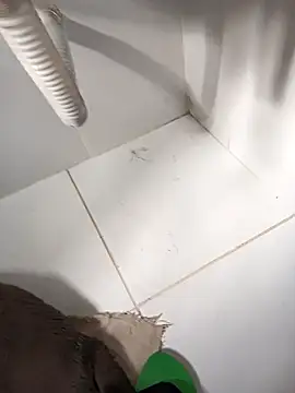 Snapshot of lobomisterioso13 chatting on 14, 3, 2025 lobomisterioso13 online show from 14, 3, 2025