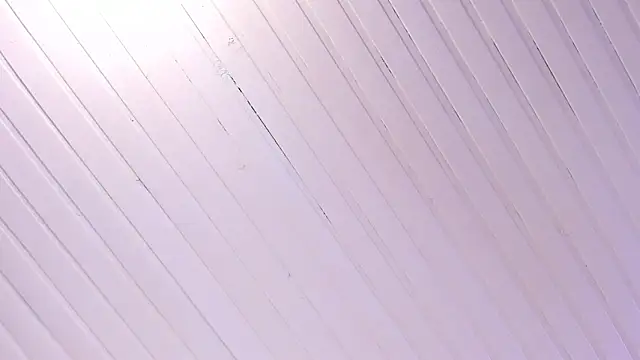 Ammy nova online show from 1, 11, 2025