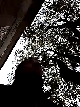 openlegsforyou online show from 22, 11, 2025