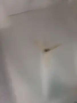 playboy 30 online show from 16, 11, 2025