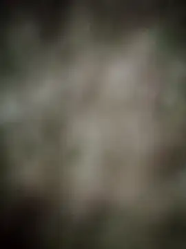 INDIANBOY7439 online show from 5, 3, 2026