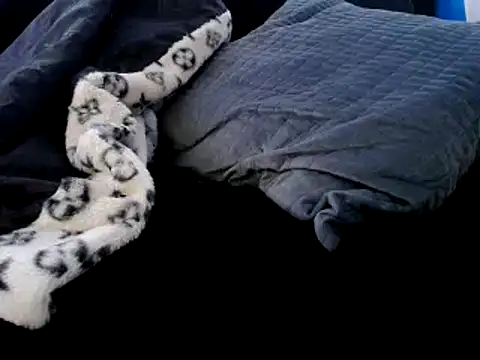 Niquitasparkles online show from 23, 12, 2024