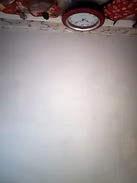 Dani pegin online show from 27, 10, 2025