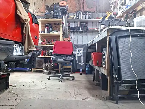 Frankdick01 online show from 6, 11, 2025