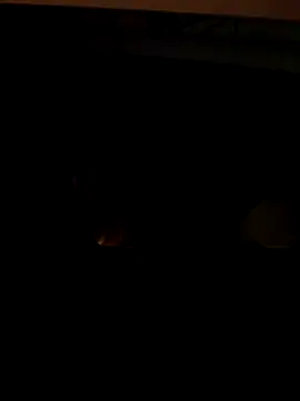 coppiapazza online show from 18, 12, 2025