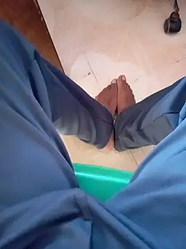 Andrapradesh online show from 2, 12, 2025