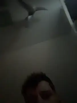 janberlin online show from 25, 2, 2026