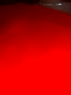 Snapshot of sara_pineros chatting on 28, 12, 2024 sara pineros online show from 28, 12, 2024