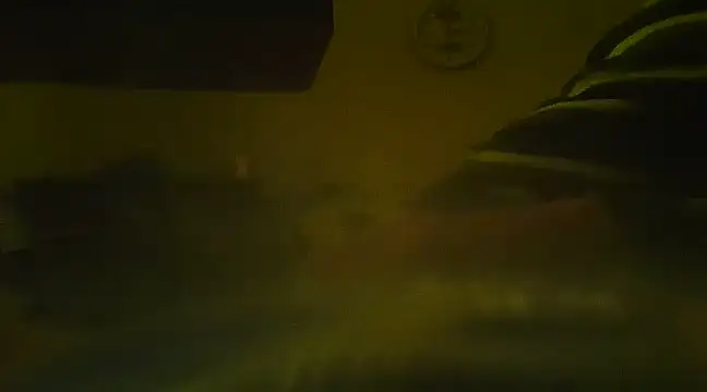 qoooqing67 online show from 26, 12, 2024