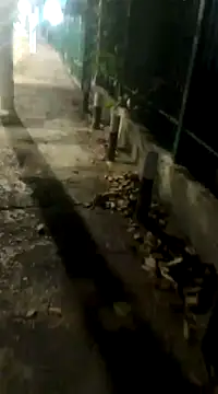 spacegirlll online show from 14, 3, 2025