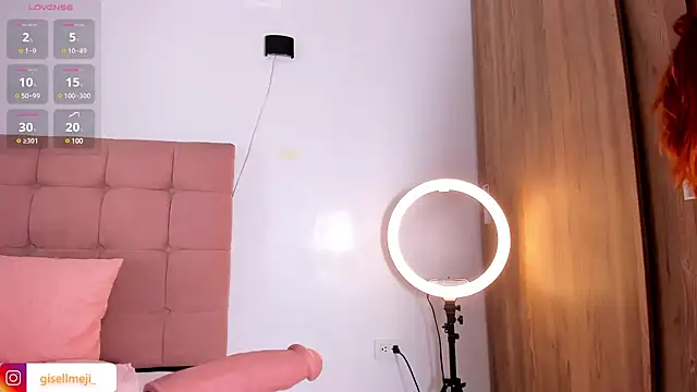 Gisellmejiaa online show from 8, 3, 2025